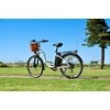 Elektrinis dviratis DYU C6, 26", 350W, 12,5Ah, baltas