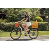 Elektrinis dviratis DYU C6 PRO, 26", 250W, 15,6Ah, baltas