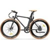 Elektrinis dviratis FAFREES F1-38C, 28", juodas