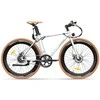Elektrinis dviratis FAFREES F1-38C, 28", baltas