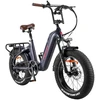 Elektrinis dviratis Fafrees F20 Master 20", pilkas, 500W, 22,5Ah