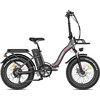 Elektrinis dviratis FAFREES F20 Max, 20", pilkas, 500W, 22,5Ah