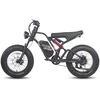 Elektrinis dviratis Fafrees F20 Ultra 20", juodas, 750W, 25Ah