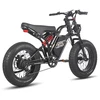 Elektrinis dviratis Fafrees F20 Ultra 20", juodas, 750W, 25Ah