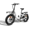 Elektrinis dviratis Fafrees F20 X- Max 20", baltas, 750W, 30Ah