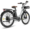 Elektrinis dviratis Fafrees F26 Lasting, 26", pilkas, 250W, 20,3Ah