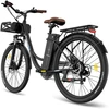 Elektrinis dviratis Fafrees F26 Lasting, 26", juodas, 250W, 20,3Ah
