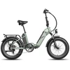 Elektrinis dviratis Fafrees FF20 Polar, 20", žalias, 500W, 20,8Ah