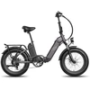 Elektrinis dviratis Fafrees FF20 Polar, 20", juodas, 500W, 20,8Ah