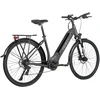 Elektrinis dviratis Fafrees FM9 29", pilkas, 250W, 15Ah