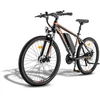 Elektrinis dviratis Fafrees Hailong One, 26", juodas, 250W, 13Ah