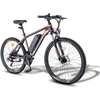 Elektrinis dviratis Fafrees Hailong One, 26", juodas, 250W, 13Ah