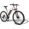 Elektrinis dviratis Fafrees Hailong One 26", baltas, 250W, 13Ah