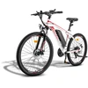 Elektrinis dviratis Fafrees Hailong One 26", baltas, 250W, 13Ah
