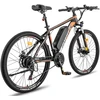 Elektrinis dviratis Fafrees Hailong One, 26", juodas, 250W, 13Ah