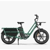 Elektrinis dviratis Fiido T2, 20", 750W, žalias