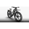 Elektrinis dviratis Fiido Titan, 26", 750W, 14,5Ah, juodas