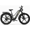 Elektrinis dviratis Fiido Titan, 26", 750W, 14,5Ah, juodas