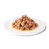 None ADVANCE DIET Recovery - šlapias Maistas šunims ir katėms sveikstant 100g