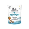 Brit Care Dog Recovery&amp;Herring - skanėstas šunims - 150 g