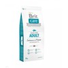 BRIT CARE Dog Adult su lašiša ir bulvėmis 12kg