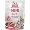Brit_Care Šlapias šunų maistas Brit Care Mini ėriena 0.085 kg