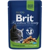Brit Premium vištiena Slices Sterilised 100 g