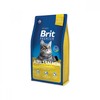 Sausas ėdalas suaugusioms katėms BRIT PREMIUM su lašiša, 1,5kg