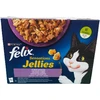 Purina Nestle Drėgnas Kačių Maistas - Purina Felix Sensations Mix Kalakutiena, Skumbrė, Aviena, Silkė - 12x85 g
