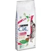 Purina Nestle PURINA CAT CHOW Special Care šlapimo takų sveikatai 15 kg