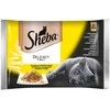 Sheba Delicacy in Jelly vištiena Flavors 4 x 85 g