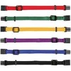Trixie Junior Antkaklių kompl., M–L 22–35 cm/10 mm, 6 vnt. juodas, raudonas, mėlynas (pak. 6)