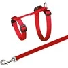 TRIXIE Kačių petnešos su pavadėliu, XXL, 34-57 cm-13 mm, 1.20 m