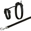 TRIXIE Kačių petnešos su pavadėliu, XXL, 34-57 cm-13 mm, 1.20 m
