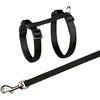 TRIXIE Kačių petnešos su pavadėliu, 27-45 cm-10 mm, 1.20 m