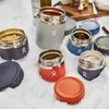JAV Hydro Flask Food Jar 828 ml blackberry maistinis termosas