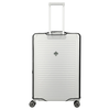 Kelioninis Dangtis dideliam lagaminui L Travelite Transparent