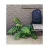 Gregory Rhune City backpack 22 l Juodas