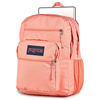 JanSport Didelė studentų kuprinė EK0A5BAH1T51