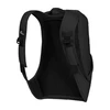 JackWolfskin Kuprinė Jack Wolfskin Frauenstein | juodas