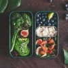 Monbento Bento Original Graphic Jungle žalia