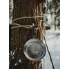 Kalto plieno keptuvė 20/24/28/32 Petromax : Kalto plieno keptuvės dydis - SP24 - 24cm