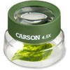 Carson -universalus