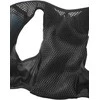 Salomon bėgimo hidracinė liemenė Active Skin 4, 4 l talpos, su dviem 500 ml buteliukais, juoda, M