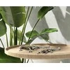Eurofirany C/GATOS/4/FIG/01 20X8X3 Sidabrinis+PLN
