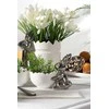 Eurofirany WI/C/MIS/155 19X13X22 B+SREB