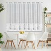 Eurofirany Euro užuolaidos FIR/DANI/2/B 300X150 PRZEL