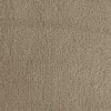 Eurofirany ANTKLĖ/PAPRASTAS1/BEŽAS 150X200 BEIGE