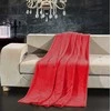 DecoKing Raudonas pledas HENRY 70×150 cm