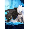 Koc polarowy 100x150 Dragon How to train your dragon 7790 pled dziecięcy smoki